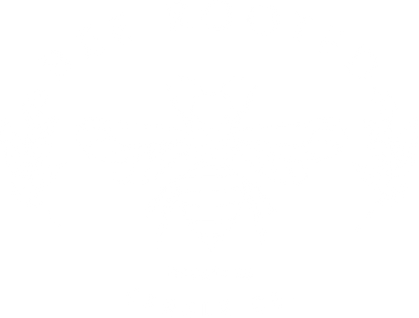 Bee Rooted Candle Co